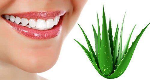 Aloe Vera ile Diş Taşı Temizliği