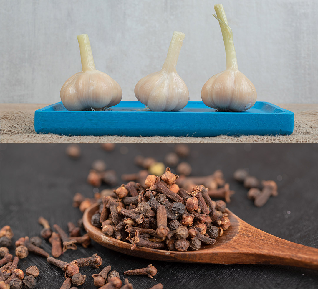 Dolgulu Diş Ağrısına Karanfil